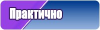 Снуд бриошь